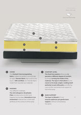 Dolce Vita Dual 10 Magniflex Mattress