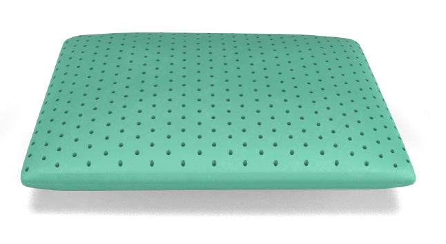 Luxury Aloe Vera Pillow